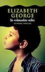 In volmaakte stilte (e-Book) - Elizabeth George (ISBN 9789044974805)
