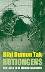 Rotjongens - Bibi Dumon Tak (ISBN 9789025363185)