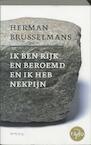 Ik ben rijk en beroemd en ik heb nekpijn (e-Book) - Herman Brusselmans (ISBN 9789044619485)