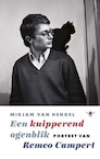 Een knipperend ogenblik (e-Book) - Mirjam van Hengel (ISBN 9789403130200)