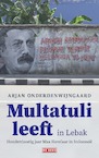 Multatuli leeft in Lebak - Arjan Onderdenwijngaard (ISBN 9789044543742)
