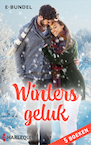 Winters geluk (e-Book) - Andrea Laurence, Alison Roberts, Catherine Mann, Caitlin Crews, Barbara Wallace (ISBN 9789402555455)