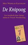 De knipoog (e-Book) - Mily Weisglas-Kaufmann (ISBN 9789087595616)
