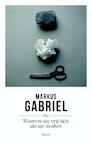 Ik is niet brein - Markus Gabriel (ISBN 9789089538727)