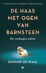 De haas met ogen van barnsteen - Edmund de Waal (ISBN 9789023497455)