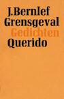 Grensgeval (e-Book) - J. Brnlef (ISBN 9789021448312)