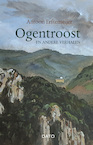 Ogentroost en andere verhalen - Antoon Erftemeijer (ISBN 9789462263468)