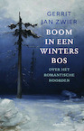 Boom in een winters bos - Gerrit Jan Zwier (ISBN 9789045041841)