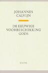 De eeuwige voorbeschikking Gods - Johannes Calvijn (ISBN 9789085067993)