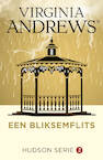 Een bliksemflits - Virginia Andrews (ISBN 9789026159060)