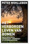 Het geheime leven van bomen (e-Book) - Peter Wohlleben (ISBN 9789044975079)