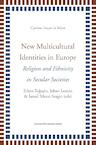 New multicultural identities in Europe (e-Book) (ISBN 9789461661302)