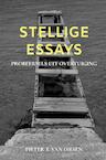 Stellige essays - Pieter T. Van Diesen (ISBN 9789464352979)