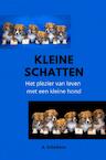 Kleine Schatten - A. Scholtens (ISBN 9789403686585)