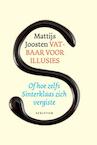 Vatbaar voor illusies (e-Book) - Mattijs Joosten (ISBN 9789055940790)