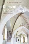 Romantiek en stichtelijkheid (e-Book) - J.T. Doornenbal (ISBN 9789462782556)
