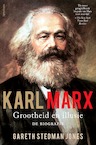 Karl Marx: grootheid en illusie (e-Book) - Gareth Stedman Jones (ISBN 9789000352203)