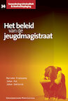 Het beleid van de jeugdmagistraat (e-Book) - Marieke Franssens, Johan Put, Johan Deklerck (ISBN 9789461660480)