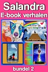 Salandra E-book verhalen (e-Book) - Sandra Koole (ISBN 9789462175198)