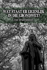 Wat staat er eigenlijk in die grondwet? - Haye Van der Heyden (ISBN 9789083310213)