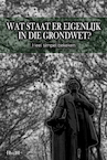 Wat staat er eigenlijk in die grondwet? (e-Book) - Haye Van der Heyden (ISBN 9789083310220)