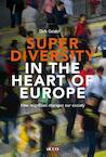 Superdiversity in the heart of Europe (e-Book) - Dirk Geldof (ISBN 9789462927025)