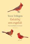 Geluk bij een ongeluk - Toon Tellegen (ISBN 9789021455242)