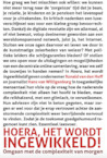 Hoera, het wordt ingewikkeld - Ronald van den Hoff, Hans van Wilgenburg (ISBN 9789079679584)