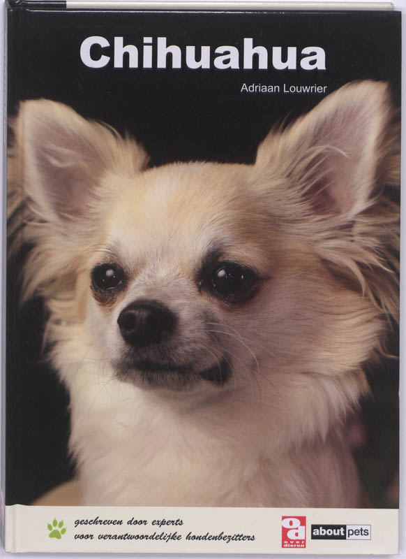 Chihuahua - Adriaan Louwrier