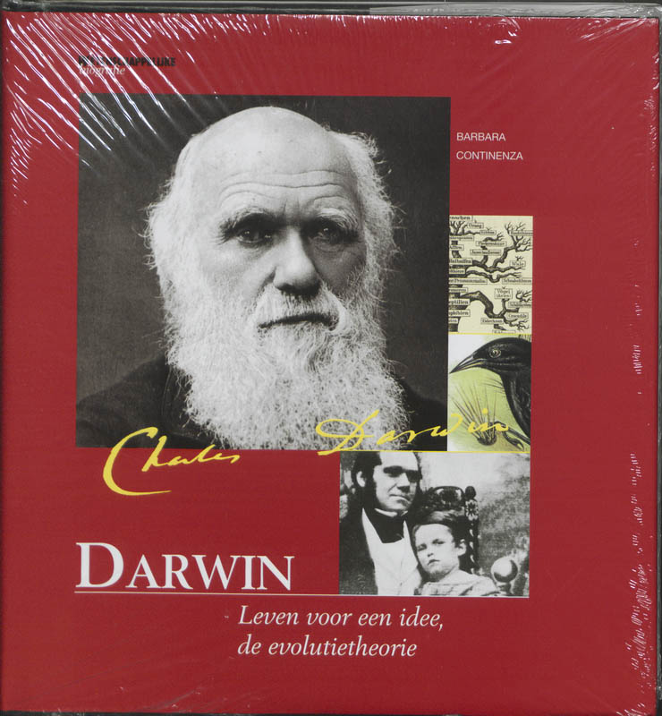 Darwin - B. Continenza