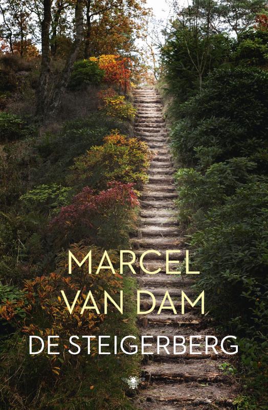 De steigersberg - Marcel van Dam