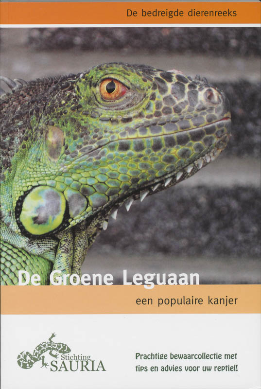 De Groene leguaan - D.E. Herpin, M.J. Diependaal, I.J.J. Zondervan